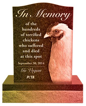 PETA chicken monument