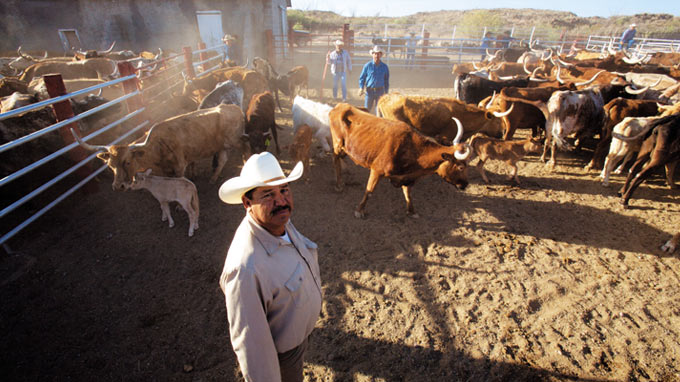Head cowboy Ruben Hernandez at Sauceda Ranger Station for the Bofecillos Mountains. 