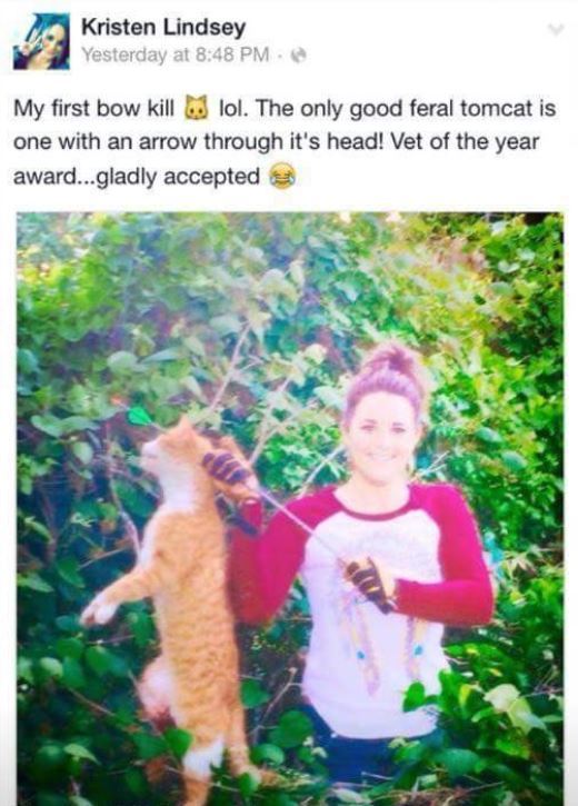 Screengrab of Kristen Lindsey's post holding an orange cat with an arrow through its head captioned "My first bow kill. The only good feral tomcat is one with an arrow through its head! Vet of the year award... gladly accepted."