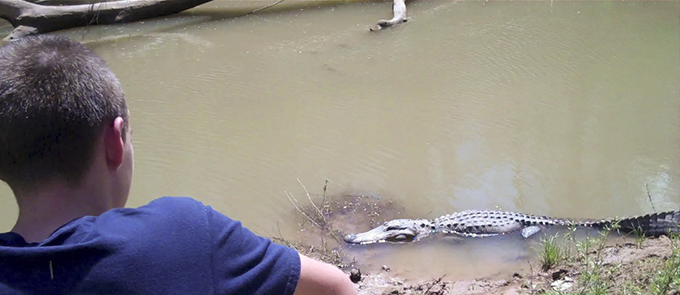 Young boy looking at alligator in water. 