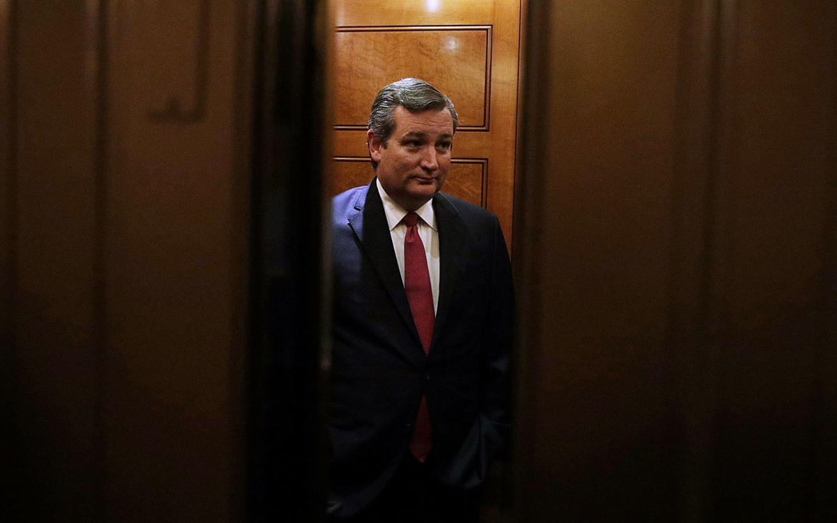 Ted Cruz S Twitter Account Got Caught Liking Porn Texas Monthly