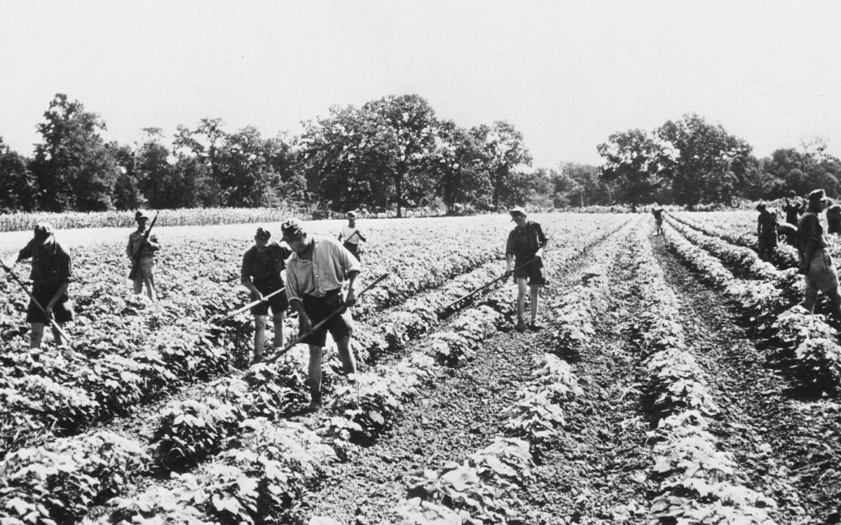 The Oil Boom's Roots in East Texas Cotton Farming – Texas Monthly